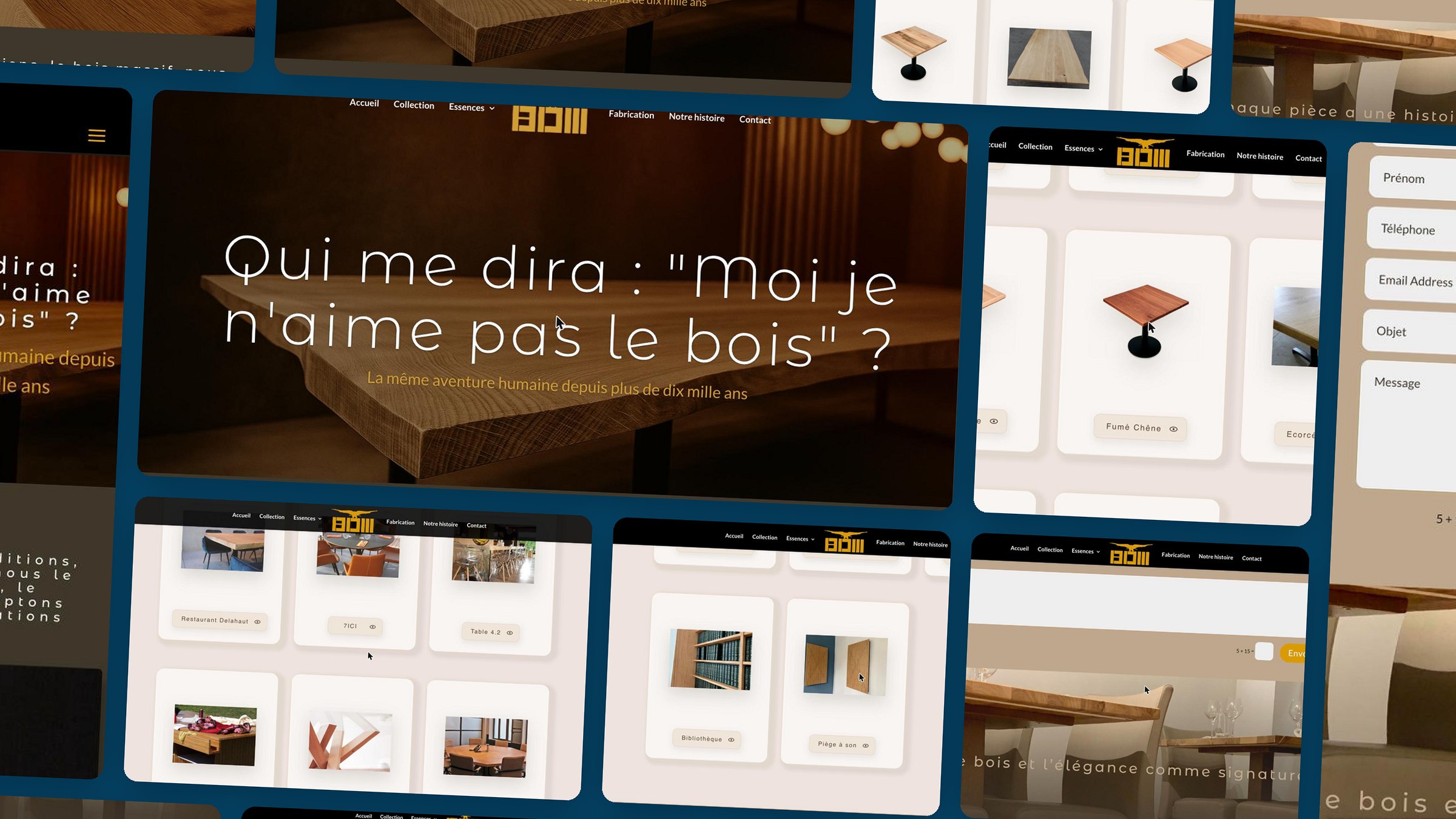 BDM — aperçu du site réalisé par Gigaweb